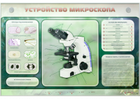 Электрифицированный стенд "Устройство микроскопа и правила работы c ним"