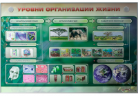 Электрифицированный стенд "Уровни организации жизни"