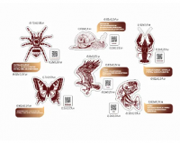 Комплект стендов для кабинета биологии "Классификация животного мира"