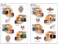 Комплект стендов для кабинета биологии "Интересные факты о животных"
