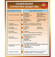 Стенд "Социальная структура общества"