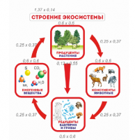 Комплект стендов "Строение экосистемы"